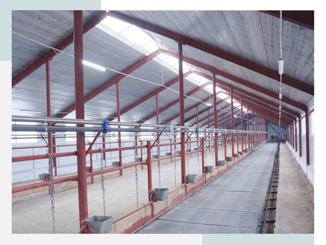 Строительство коровников в Валуйках от 639 руб.