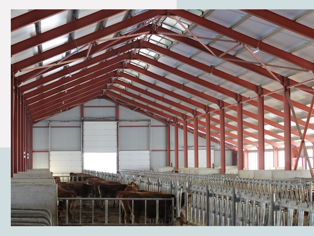 Строительство коровников в Валуйках